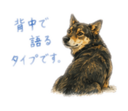 855616308