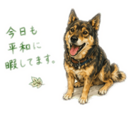 855616309
