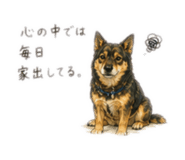 855616312