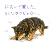 855616315