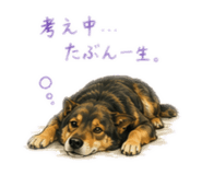 855616319