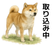 855616518