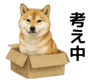 855616519
