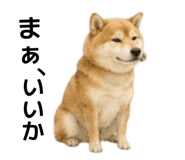 855616521