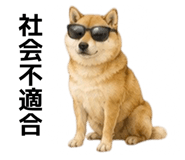 855616525
