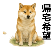 855616528