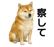 855616529