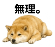855616532