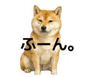 855616533