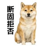 855616535