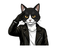 855617373