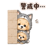 855617442