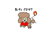 855617508