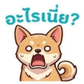 855618013