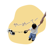 855618400