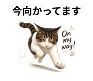 855619771
