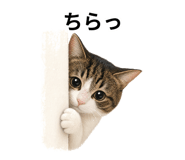 855619780