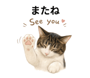 855619784
