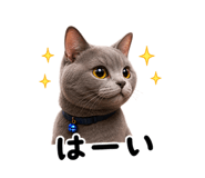 855620342
