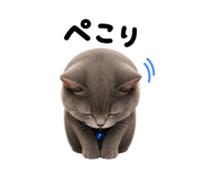 855620346