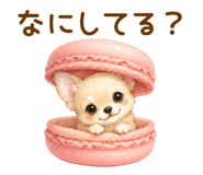 855621064