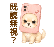 855621075