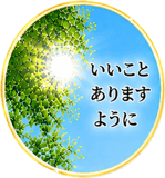 855623554