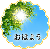 855623560