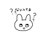 855625570