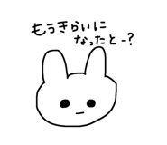 855625575
