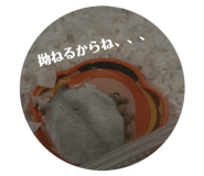 855625902