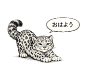 855626428
