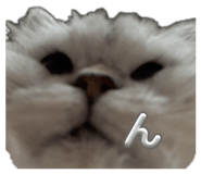 855626452