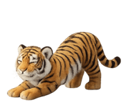 855626491