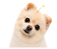 855626695