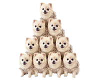 855626704