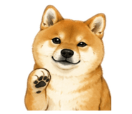 855627601