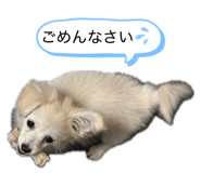 855627934