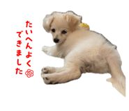 855627943
