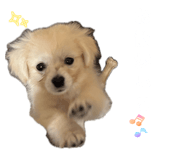 855627944