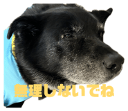 855628015
