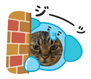 855628086