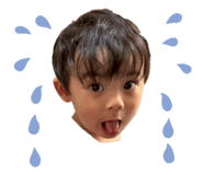 855628111