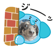 855628305