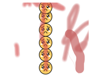 855628386