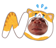 855628491
