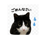 855628613