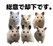 855628793