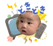 855628981