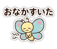 855629086